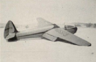 Ray Parker's glider Tiny Mite
