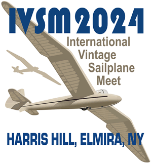 IVSM 2024